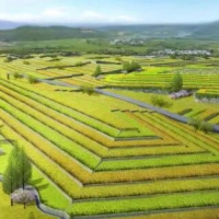 我国耕地生态问题分析 实现耕地资源可持续利用