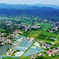 精准务实培育壮大乡村产业