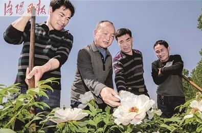 激励各类人才在农村广阔天地大展才华