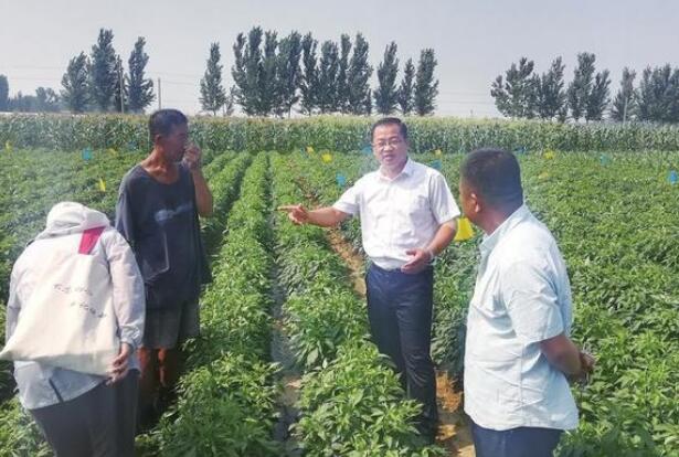 科技赋能新农业联村共建助振兴