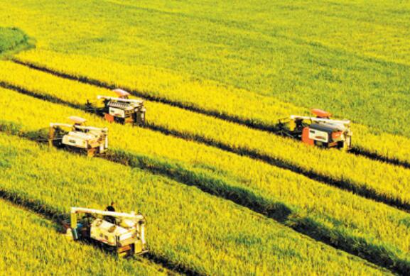 乡村产业兴绿色画卷美