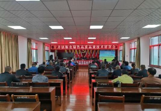 培训农业技术惠农户助力增收致富促发展