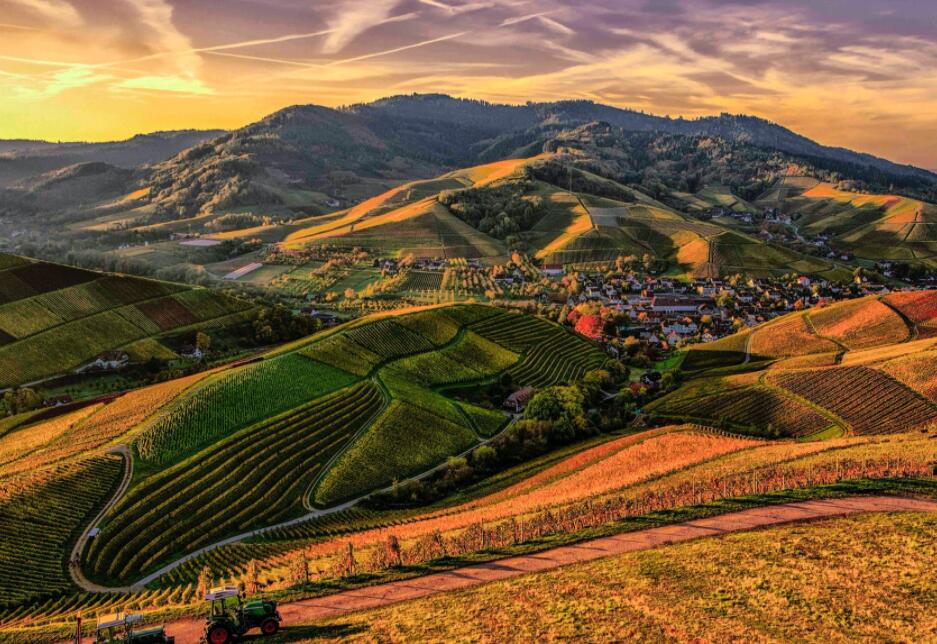 推进kaiyun开云app关键在全面