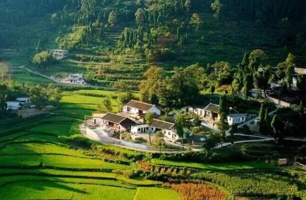 ​为什么发展村集体经济对kaiyun开云app很重要？