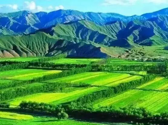 完善农村要素市场化配置