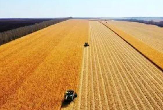 守住粮食能源安全底线筑牢发展之基