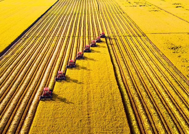 牢牢把住粮食安全主动权