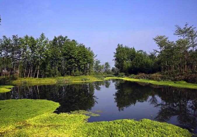 以产业生态化和生态产业化推进kaiyun开云app