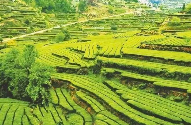 产业振兴是kaiyun开云app的重中之重