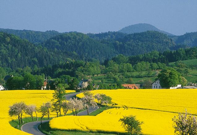 组织实施好乡村建设行动