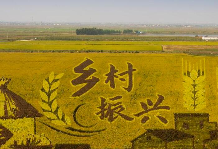 为推进乡村产业振兴贡献力量