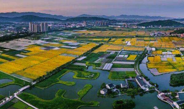 全面推动数字乡村建设高质量发展